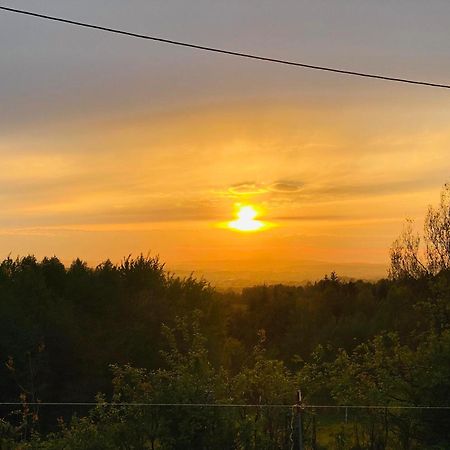 Zacisze Na Podzamczu Leilighet Odrzykon Eksteriør bilde